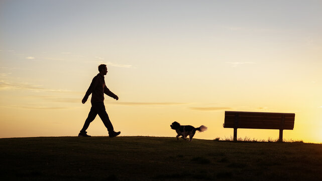 Man and dog walking in a park at sunrise.