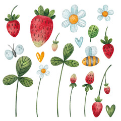 Set with strawberries, flowers and leaves. Watercolor illustration. Plants and nature. Garden. Summer. Red. Green. A bee and a butterfly. Natural. Design. Art. Sweet. Drawing.