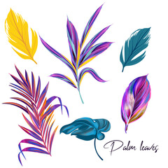 Beautiful tropical vector purple pink collection of palm leaves - 597087446