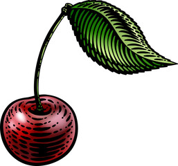 Cherry Berry Fruit Vintage Woodcut Illustration