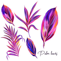 Set of tropical vector purple pink palm leaves