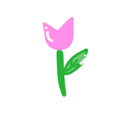 Tulip
