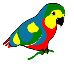 parrot on a branch