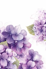 The illustration  of hydrangea, AI contents by Midjourney