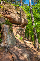 Naturdenkmal Saufelsen am Rodalber Felsen-Wanderweg in Rodalben. Region Pfalz im Bundesland Rheinland Pfalz in Deutschland