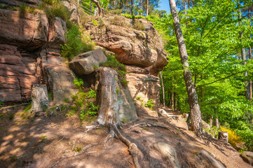 Naturdenkmal Saufelsen am Rodalber Felsen-Wanderweg in Rodalben. Region Pfalz im Bundesland Rheinland Pfalz in Deutschland