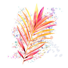 Obraz premium Illustration with vector tropical pink yellow palm leaf in watercolor style