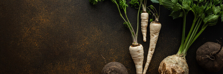 Parsley and selera roots with tops and black radish close-up on a brown background, top view, healthy autumn seasonal roots banner, copy space