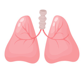 Lungs. Human organ. Vector illustration in flat cartoon style. Anatomy concept.