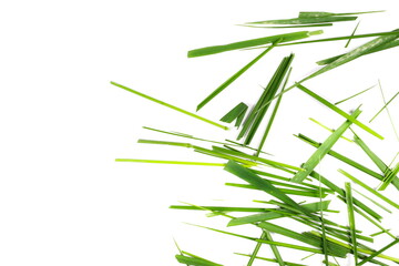 Frame green cut wild grass isolated on white background and texture, top view