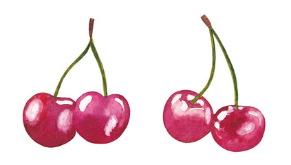 Fresh ripe cherries. Hand drawn watercolor painting isolated on white background.