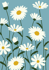 Fototapeta premium Daisy flower background.Eps 10 vector.