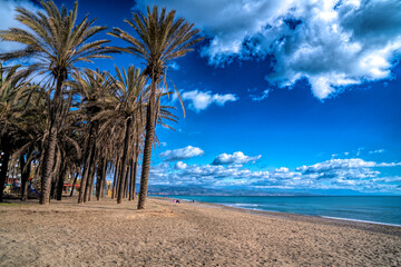 Torremolinos beach and palm trees Costa del Sol Spain Playa del Bajondillo Andalusia - obrazy, fototapety, plakaty