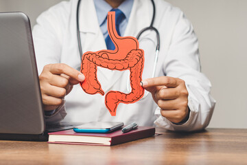 Doctor in a white coat holding an intestine symbol while sitting at the table in the hospital - obrazy, fototapety, plakaty