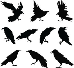 Obraz premium Dark as Night: Set of 10 Raven, Crow, and Black Bird Vector Silhouettes