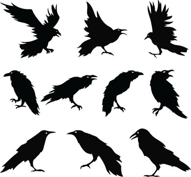 Dark as Night: Set of 10 Raven, Crow, and Black Bird Vector Silhouettes