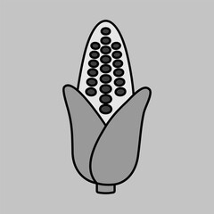Corncob isolated vector icon. Vegetable sign