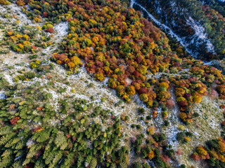 Naklejka na ściany i meble Autumn on the Montasio plateau. Crowned by mountains and colors.