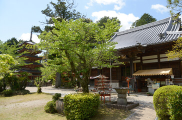 新緑の海住山寺　本堂と五重塔　京都府木津川市加茂町