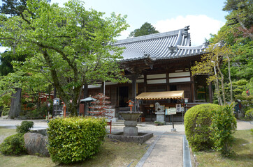 新緑の海住山寺　本堂　京都府木津川市加茂町