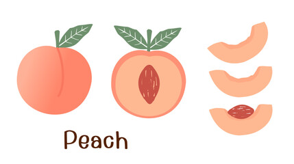 Peach fruit with green leaves on white background vector illustration.