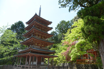 新緑の海住山寺　五重塔　京都府木津川市加茂町