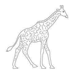 Doodle of Giraffe. Hand drawn vector illustration.