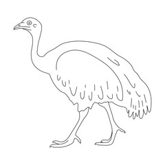 Sketch of Emu drawn by hand. Vector hand drawn illustration.