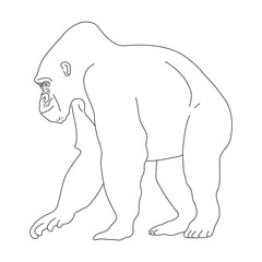 Doodle of Gorilla. Hand drawn vector illustration.