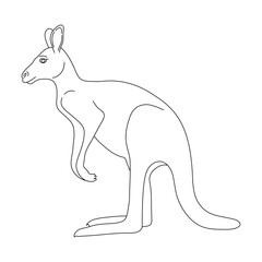 Sketch of Kangaroo drawn by hand. Vector hand drawn illustration.