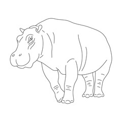 Doodle of Hippopotamus. Hand drawn vector illustration.