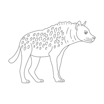 Doodle of Hyena. Hand drawn vector illustration.