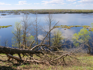 panorama spring flood fields flooded with water trees with young greenery on a hillock