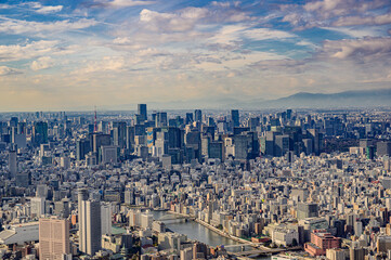 Naklejka premium スカイツリーから眺める都心
