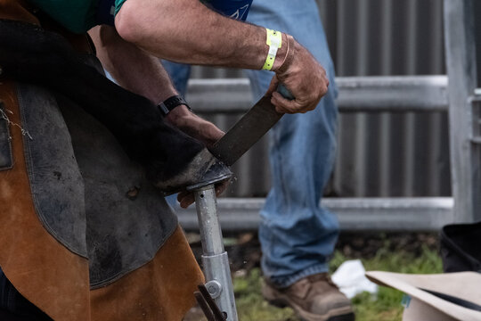Close up of a man shoeing a horse with a file