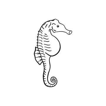 Seahorse, Scandinavian style hippocampus, hand drawn, beautiful detailed turquoise