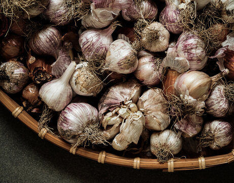 Purple Home grown Garlic Bulbs ready to eat