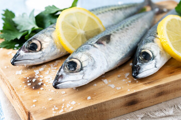 Raw mackerel fish salt around on blue background