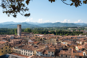 Blick vom Turm Torre Guinigi, Lucca, Toskana, Italien