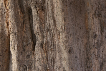 old wood background