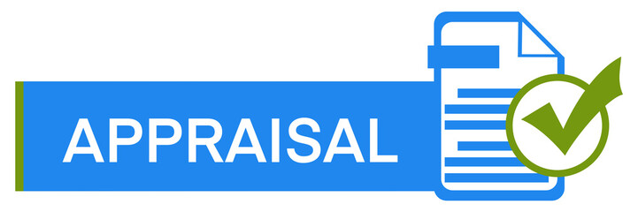 Appraisal File Page Tick Mark Green Blue Symbols Rectangle Text