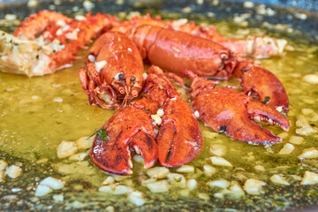 lobster in white wine sauce 2