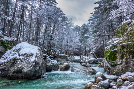 Vall&eacute;e de la Restonica, Haute Corse