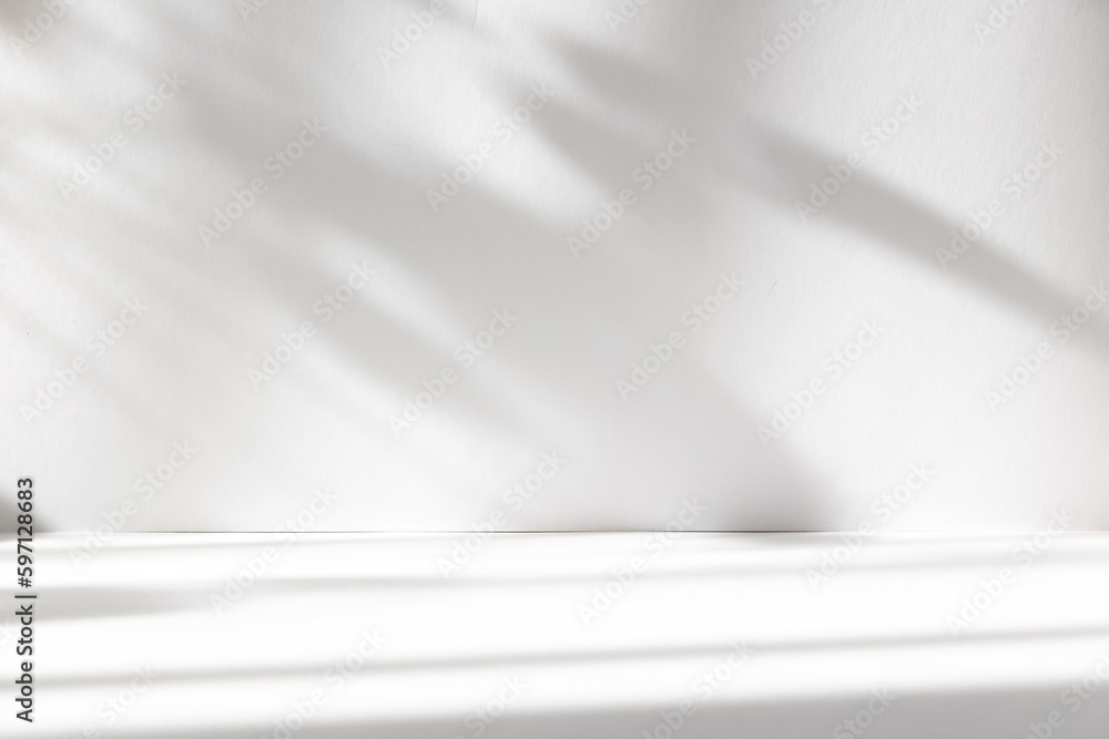 Leinwandbilder Abstract white studio background with shadows of window. Empty 3d room. Display product with blurred backdrop.