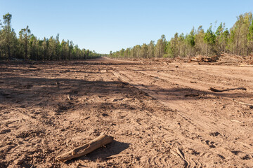 land being cleared for roads in rural Queensland