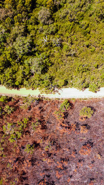 Bush fire aftermath drone shot in western Australia. One side of road healthy and green other burnt