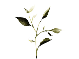 Yellow floral leaves watercolor illustration