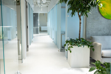 Well-lit foyer in cozy modern coworking facility