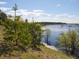 panorama spring flood fields flooded with water trees with young greenery on a hillock