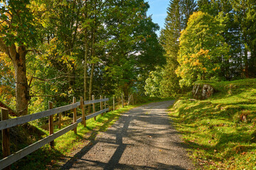 Rural mountain landscape with the wooden fence near the rural road among autumn trees near Wengen village in Switzerland.